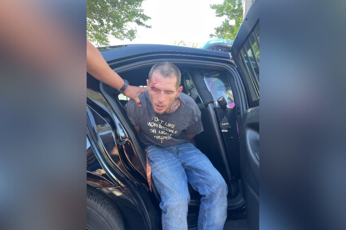 EXCLUSIVE VIDEO: Humble hero says it was ‘instinctive’ to jump into ...