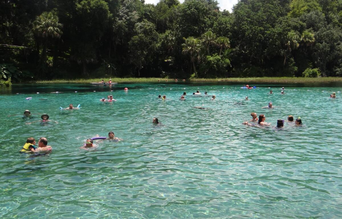 A scenic view of Rainbow River in Ocala, Florida, with clear blue water flowing gently over rocky banks surrounded by lush green trees under a bright, sunny sky.