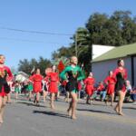 lady lake florida christmas parade