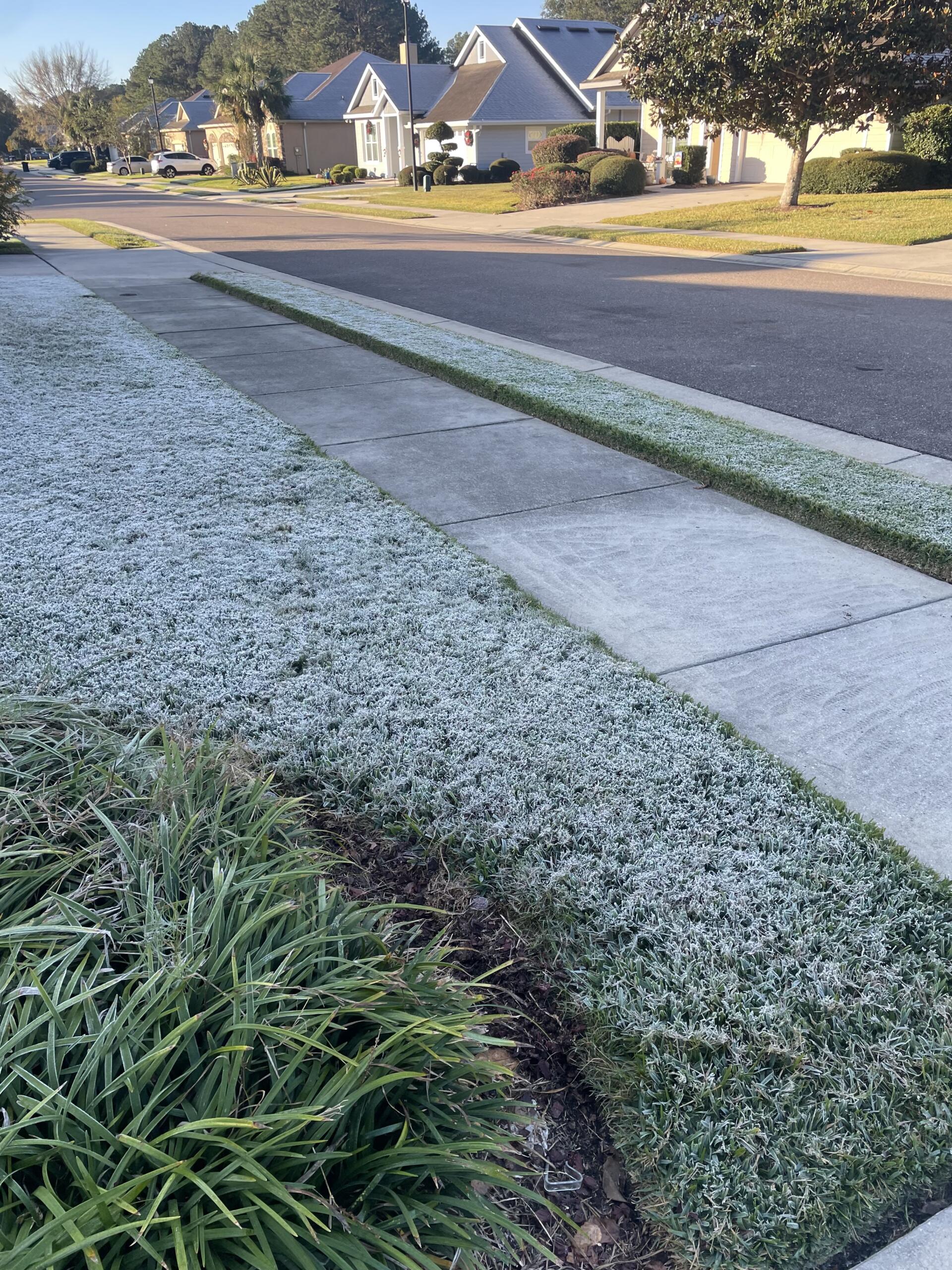 Frost on a lawn