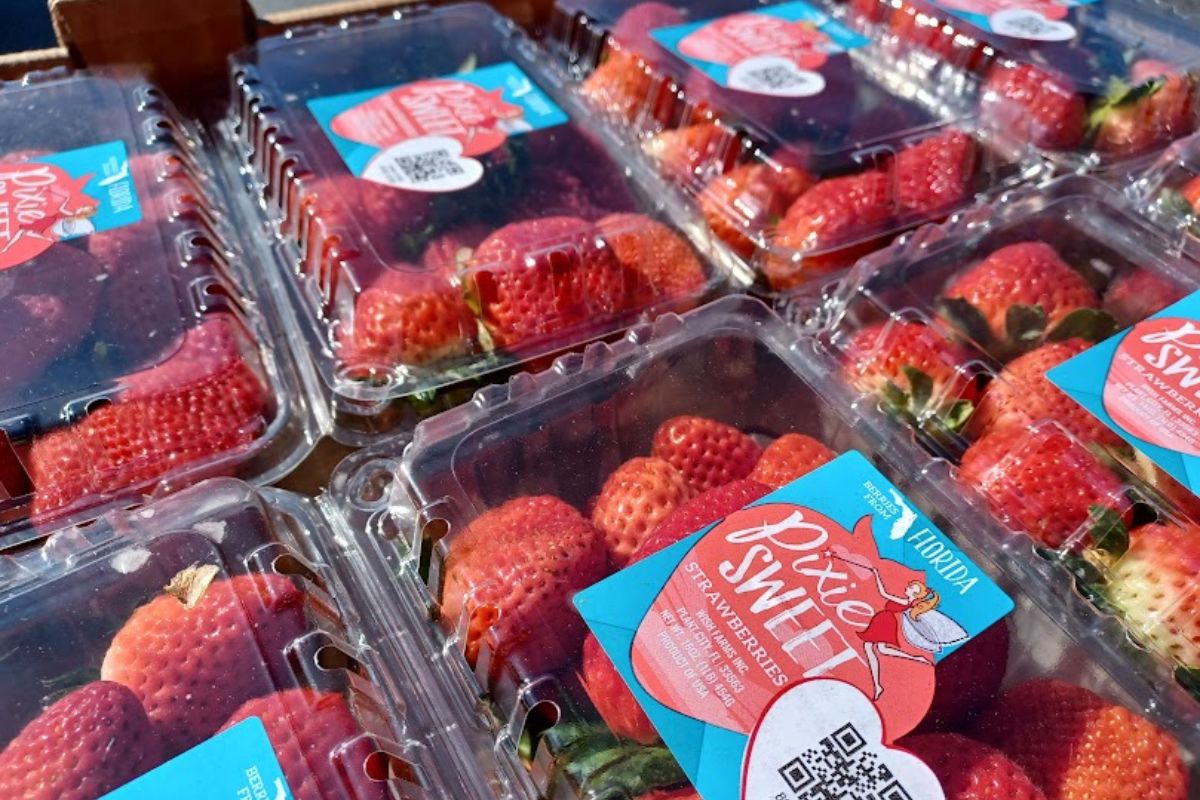 Order your flats of strawberries early from Habitat for Humanity of Marion County's Ocala Strawberry Festival before they sellout.