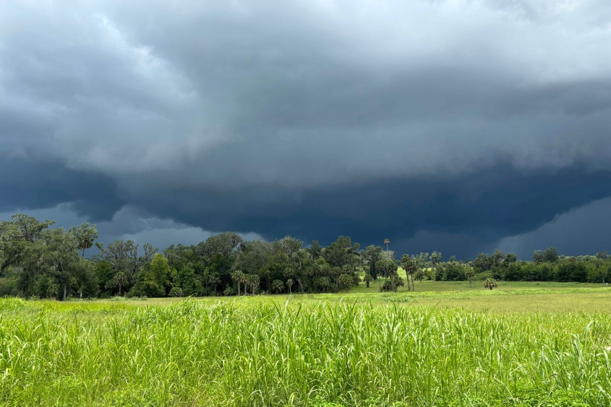 Dark storm clouds loom over a green field in southeast Ocala.