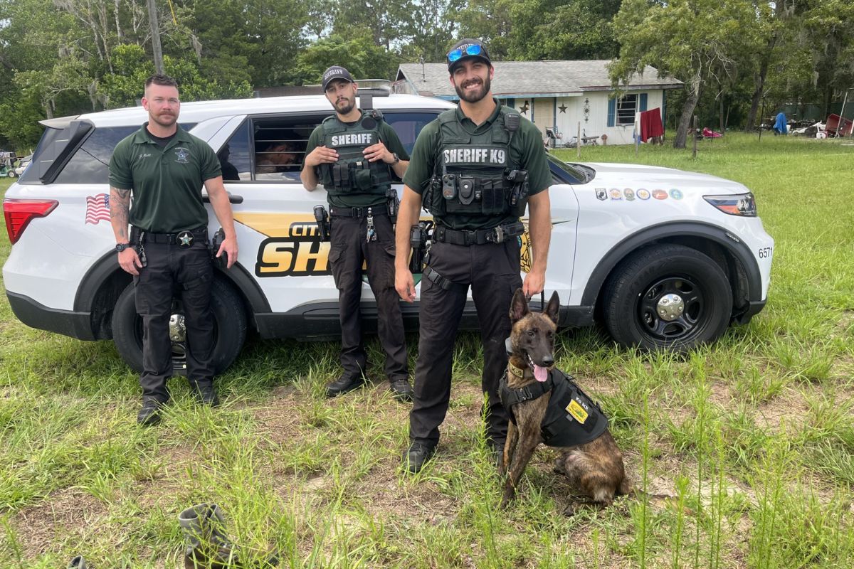 The photo shows three deputies posing for a photo op with K-9 Ike and the wanted man in custody in the back of the patrol car.