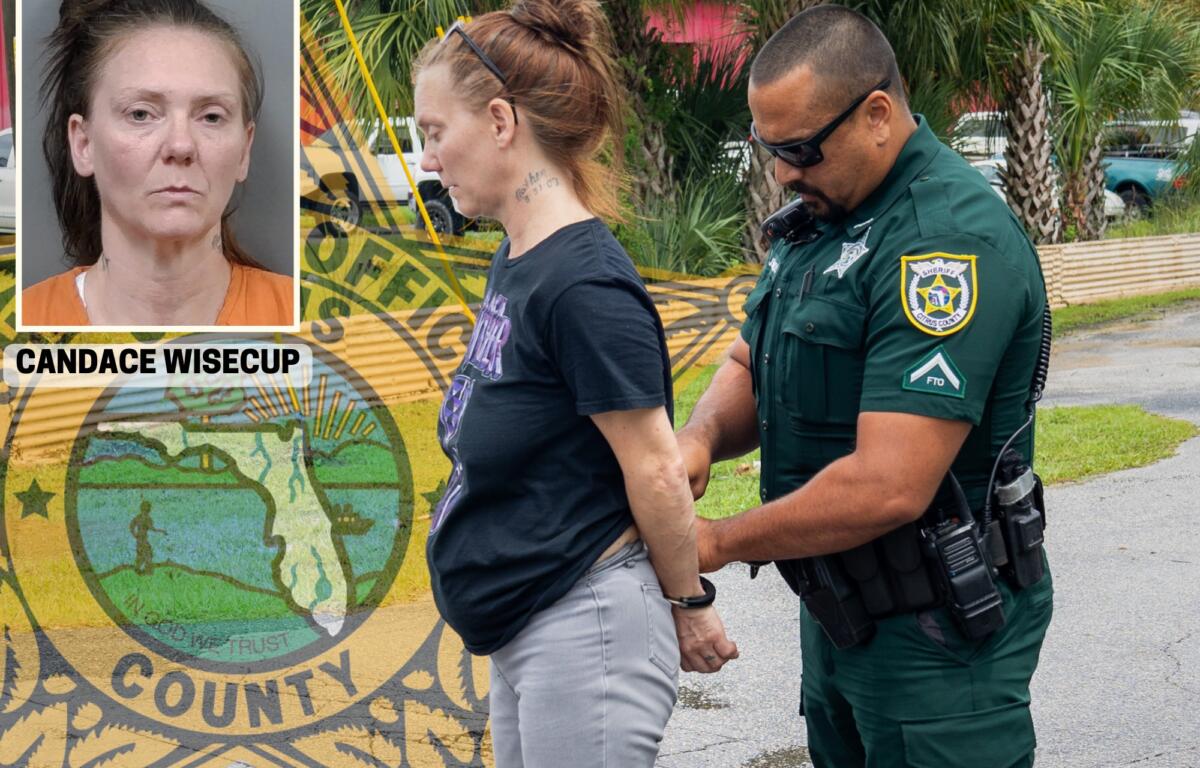 Photo of Citrus County Sheriff's Officers taking Candace Wisecup into custody.