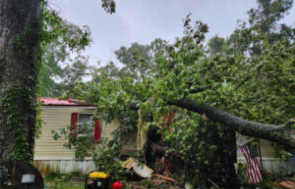 Photo of a tree that fell onto a mobile home in Fanning Springs.