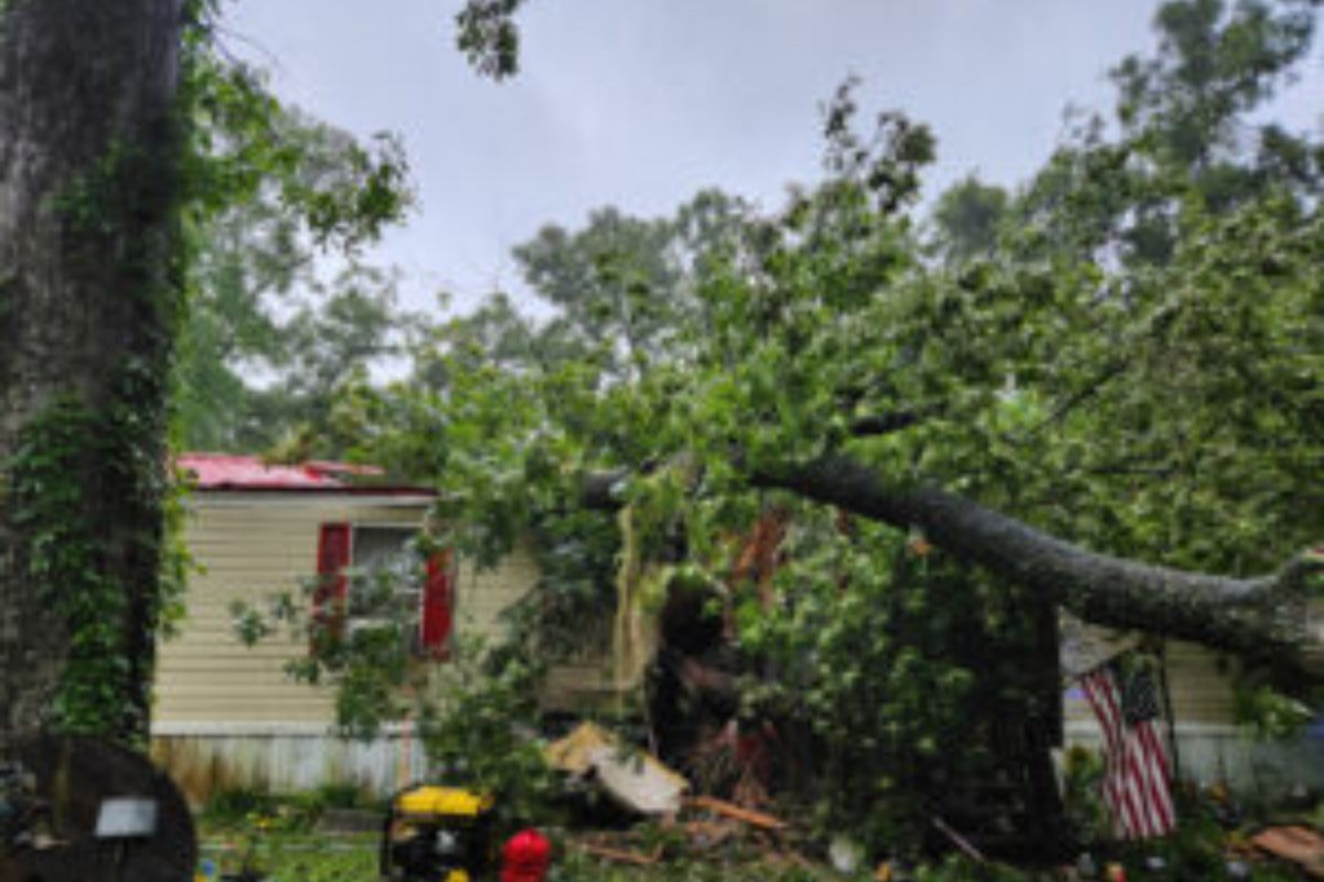 Photo of a tree that fell onto a mobile home in Fanning Springs.