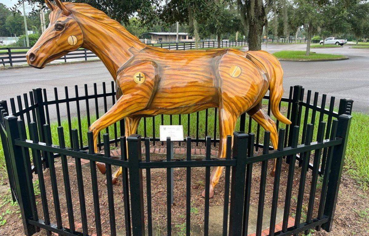 The Southeastern Livestock Pavilion provided a safe space for equine evacuees, who looking to get out of harm's way from the effects of Hurricane Helene. Courtesy: Ben Baugh/352today