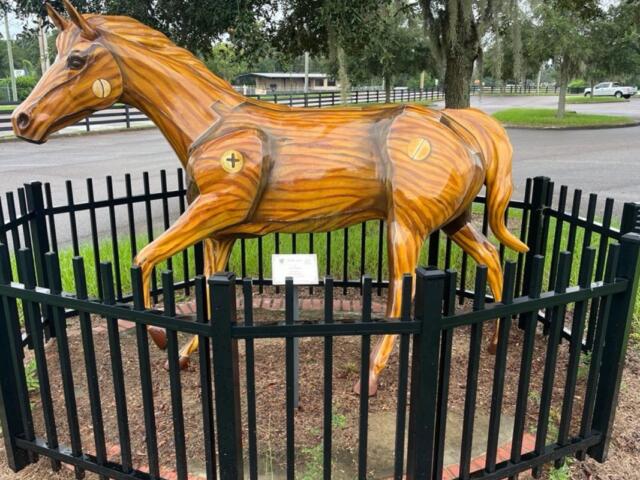 The Southeastern Livestock Pavilion provided a safe space for equine evacuees, who looking to get out of harm's way from the effects of Hurricane Helene. Courtesy: Ben Baugh/352today