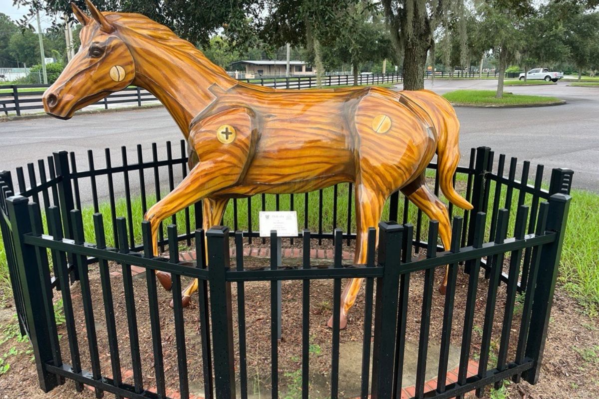 The Southeastern Livestock Pavilion provided a safe space for equine evacuees, who looking to get out of harm's way from the effects of Hurricane Helene. Courtesy: Ben Baugh/352today