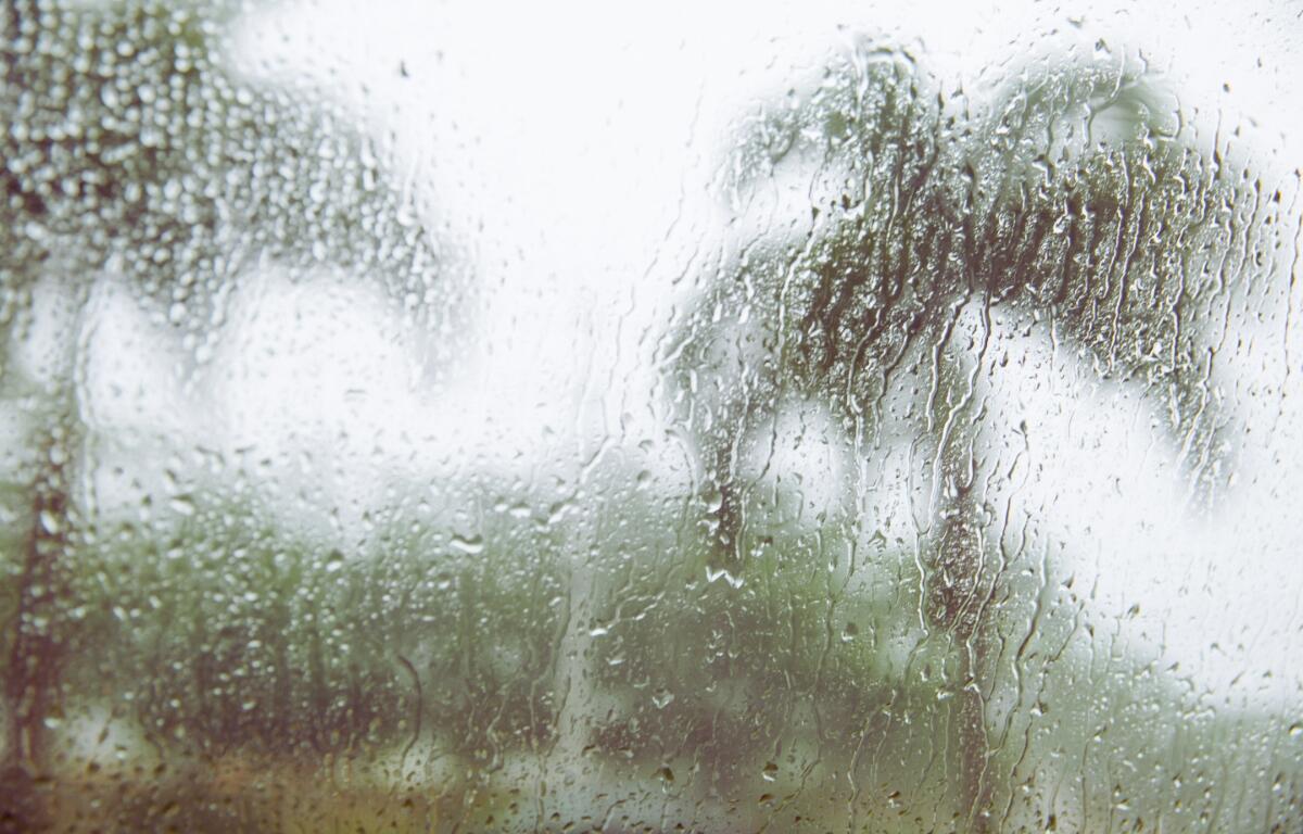 Rain could affect the 352 with potential TS Francine