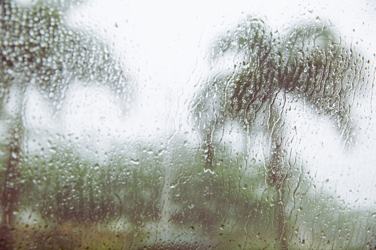 Rain could affect the 352 with potential TS Francine