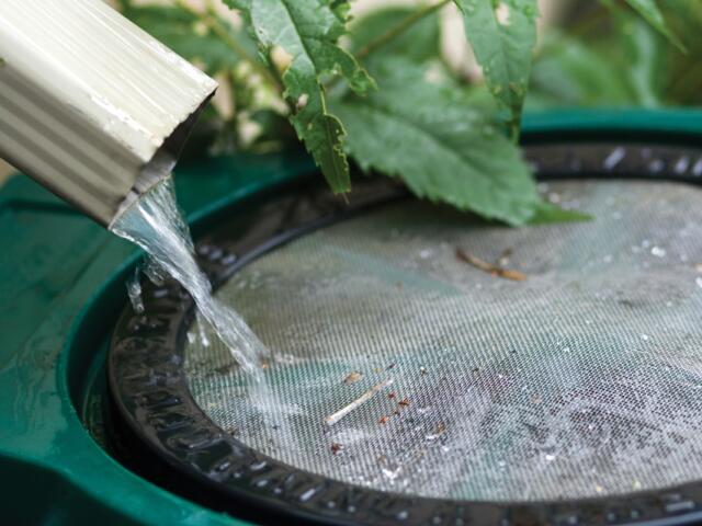 Rain flowing into barrel from down spout, selective focus
