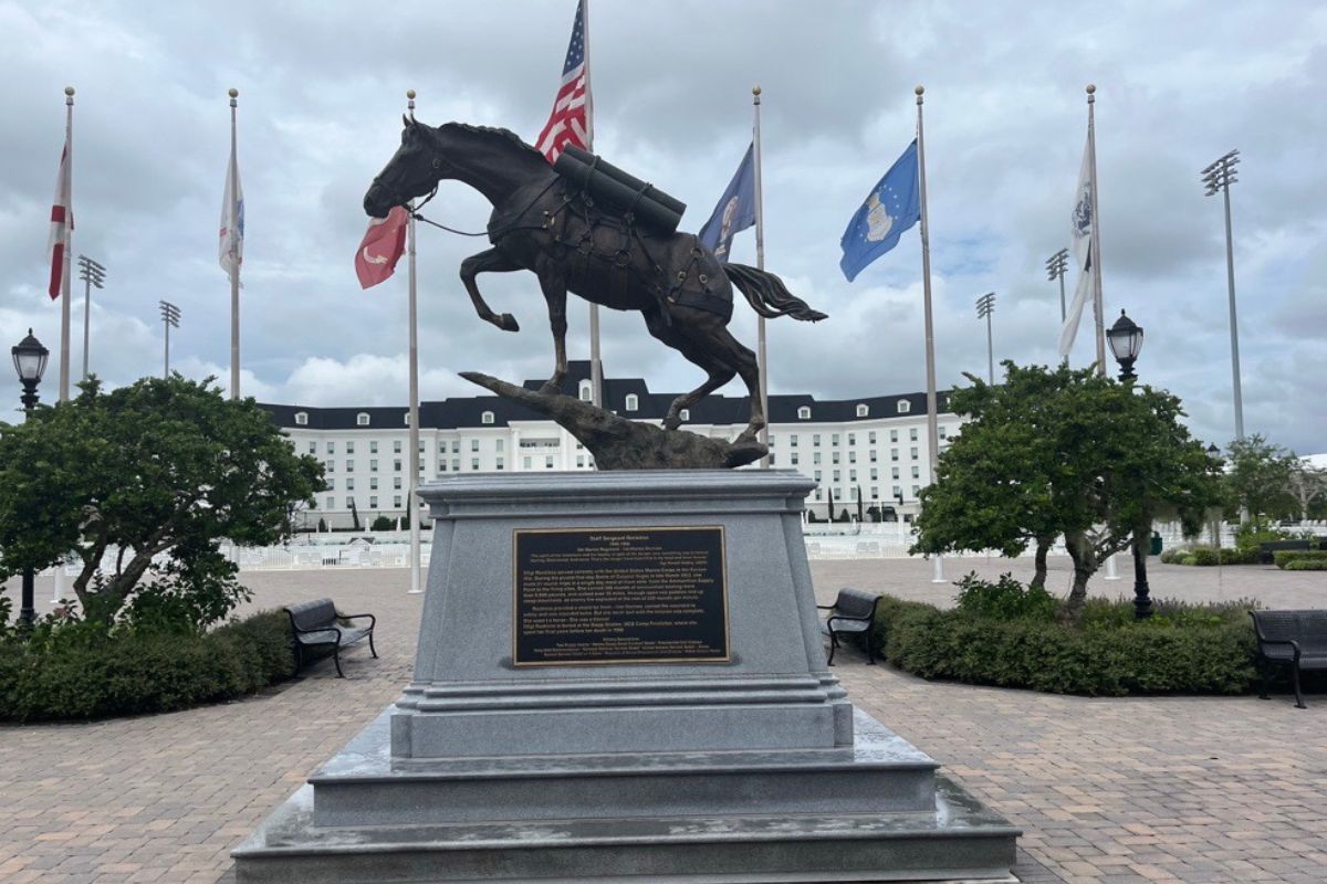 Equestrian athletes and their horses soar to new heights at the World Equestrian Center in Ocala, showcasing elite talent ahead of international championships.