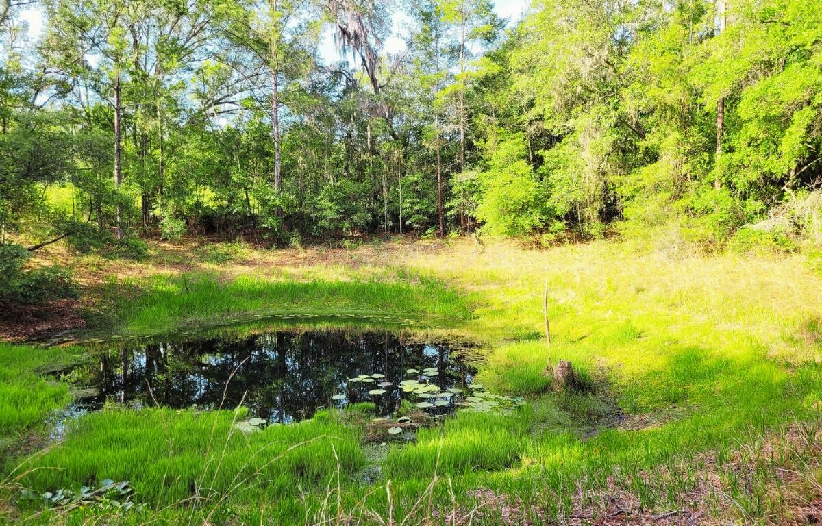 Donated property for conservation efforts. WSPP, ACF