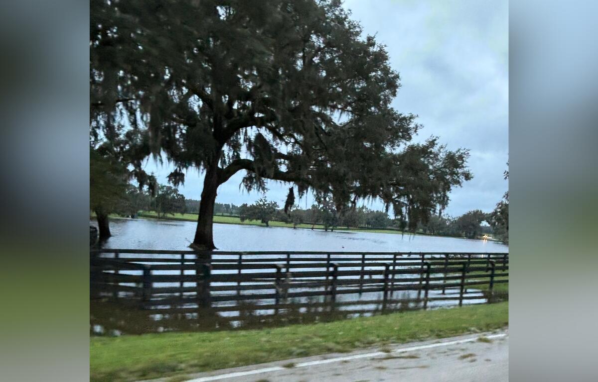 Flood-prone area on SW 27th Ave. near Trinity High School in Ocala, highlighting the city's ongoing efforts to address flooding vulnerabilities.