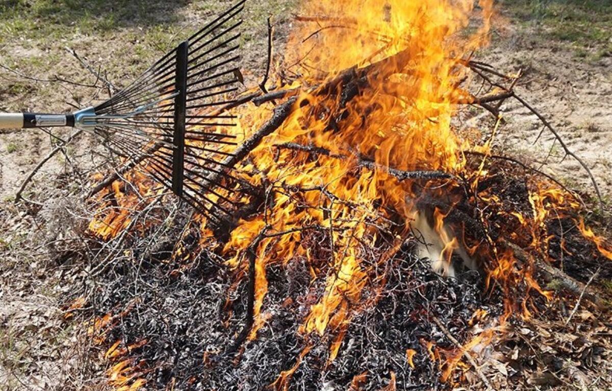 The Florida Forestry Service has issued a warning about heightened fire risks across the state.