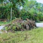 A colored image of yard debris on a lawn.