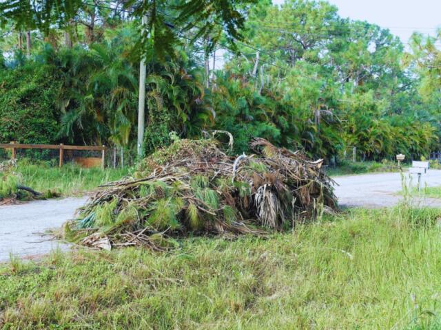 A colored image of yard debris on a lawn.