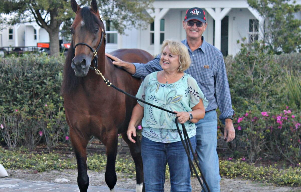 Peter and Lori Conway of Conway Arabians are set to compete at the 56th Annual Arabian and Half-Arabian Holiday Horse Show at the World Equestrian Center. Pictured here with their horse, Kha Ching CA.