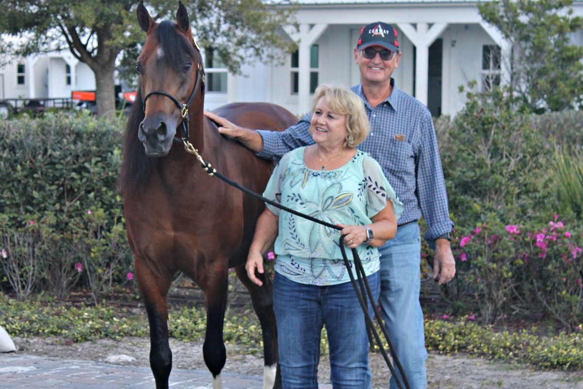Peter and Lori Conway of Conway Arabians are set to compete at the 56th Annual Arabian and Half-Arabian Holiday Horse Show at the World Equestrian Center. Pictured here with their horse, Kha Ching CA.