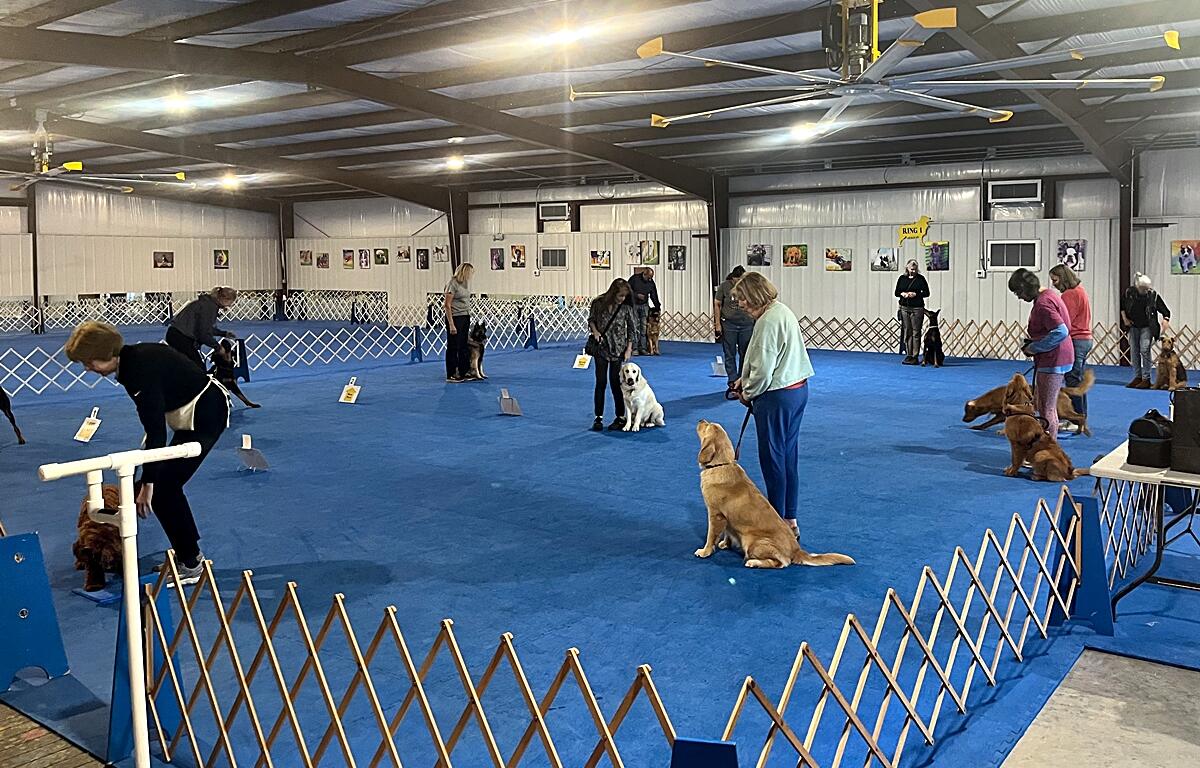 The Marion Alachua Dog Training Association offers a variety of classes and AKC and UKC recognized trials. The 501 (c)(3) nonprofit organization promotes the welfare of dogs.