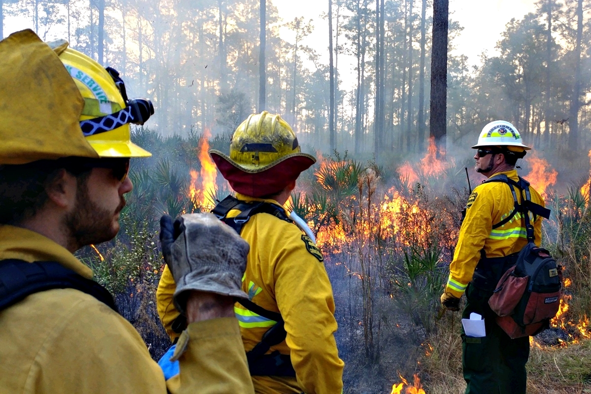 Prescribed burns are essential for reducing wildfire risk, improving wildlife habitats, and maintaining healthy ecosystems.
