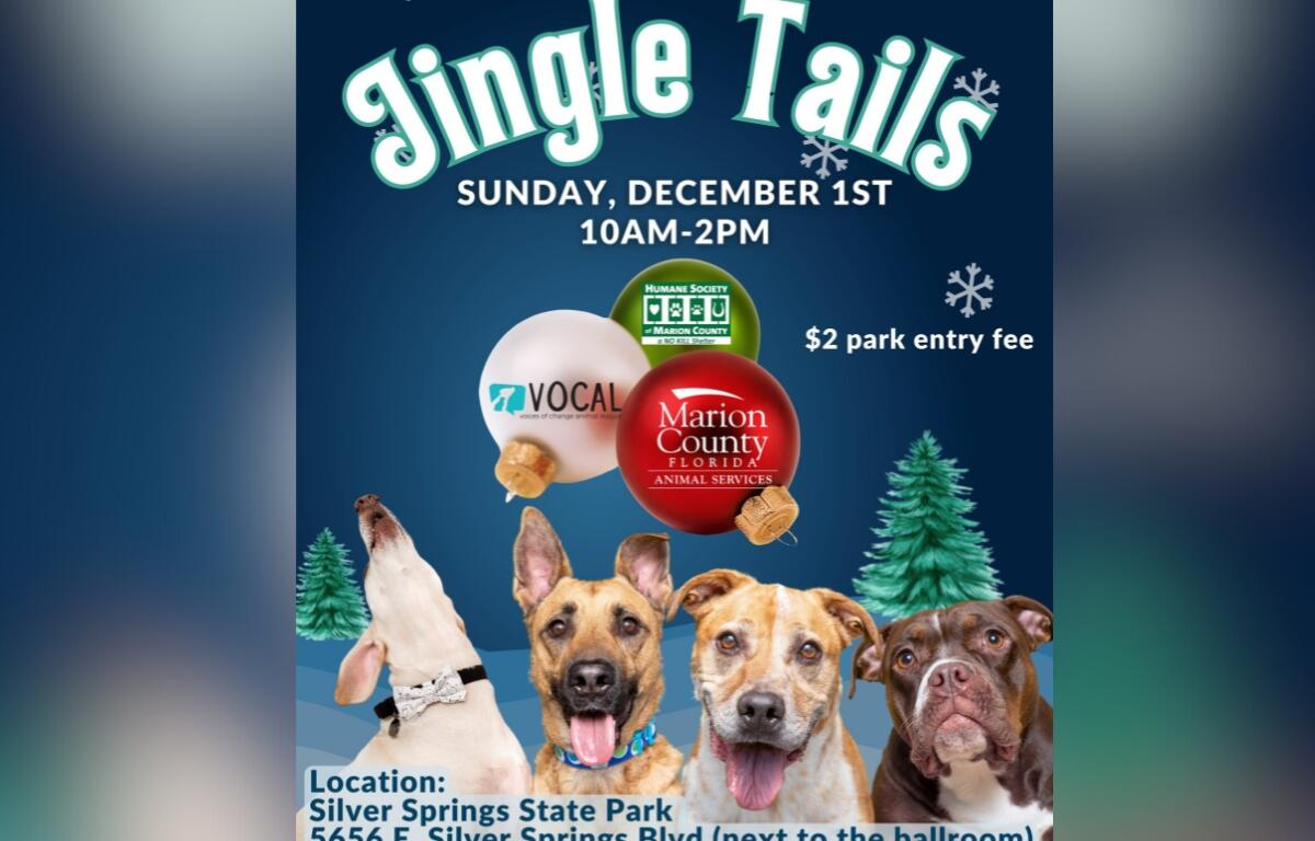 Adoptable dogs await their forever homes at the Jingle Tails Community Adoption Event, happening Sunday, December 1, at Silver Springs State Park in Ocala.