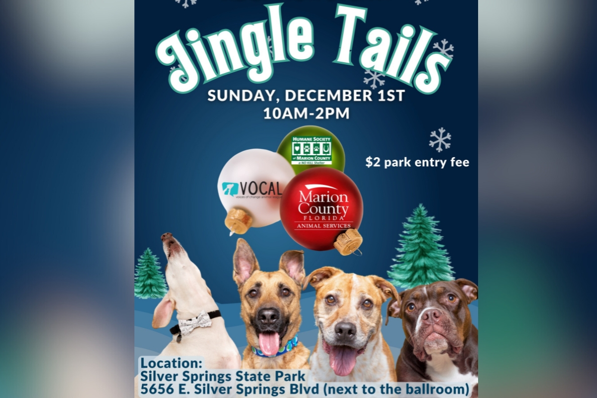 Adoptable dogs await their forever homes at the Jingle Tails Community Adoption Event, happening Sunday, December 1, at Silver Springs State Park in Ocala.