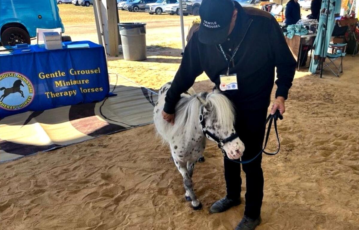 Gentle Carousel Miniature Therapy Horses Executive Director, Co-Founder and Head Trainer Jorge Garcia-Bengochea, with Spots at the Equine Industry Career Expo at the Florida Horse Park, Nov. 22, 2024.