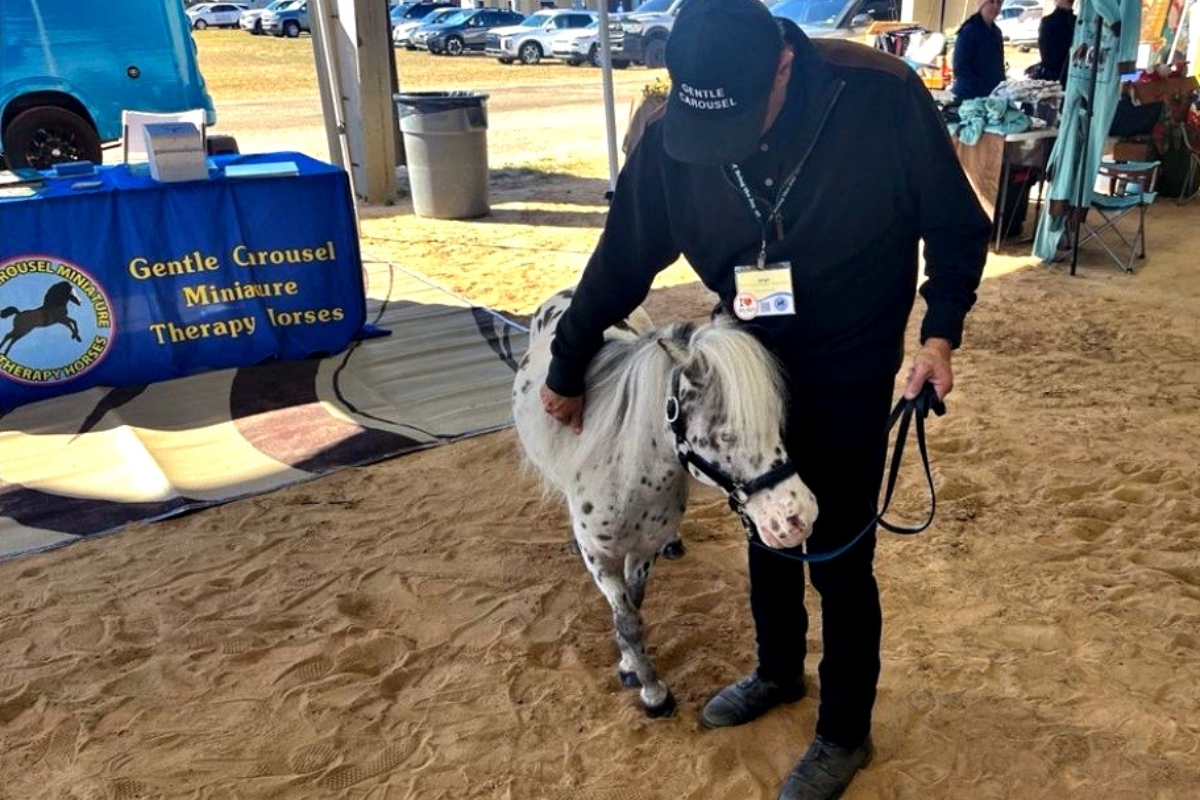 Gentle Carousel Miniature Therapy Horses Executive Director, Co-Founder and Head Trainer Jorge Garcia-Bengochea, with Spots at the Equine Industry Career Expo at the Florida Horse Park, Nov. 22, 2024.
