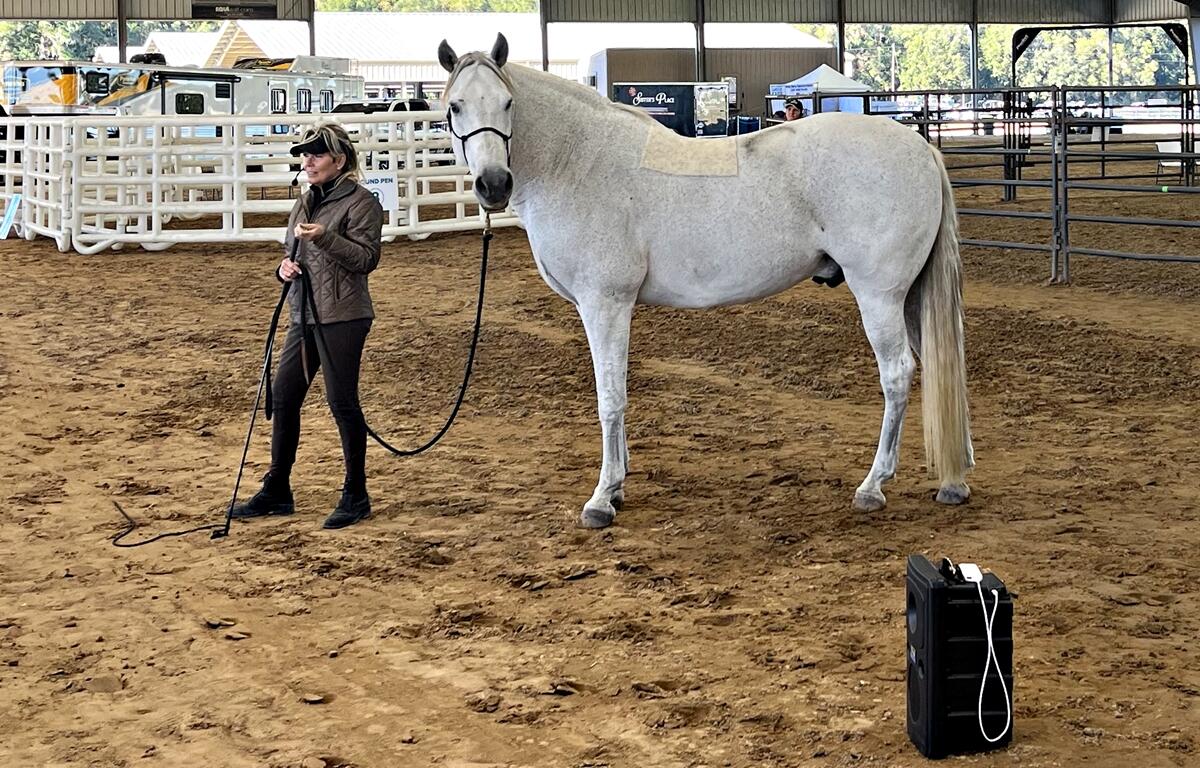 World-renowned trainer Linda Parelli and Courtney Crane's Meleagant at the Equine Industry Career Expo at the Florida Horse Park.