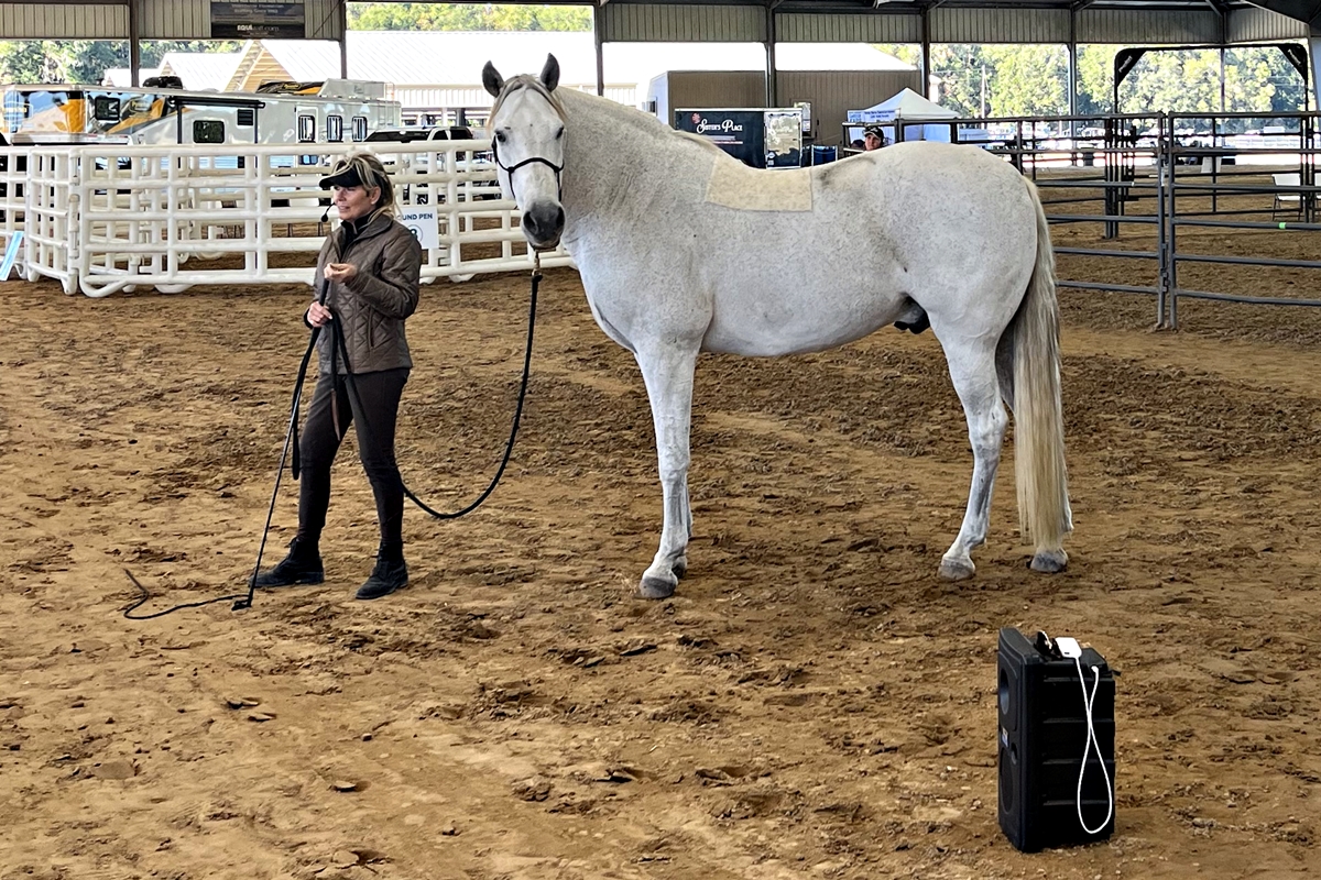 World-renowned trainer Linda Parelli and Courtney Crane's Meleagant at the Equine Industry Career Expo at the Florida Horse Park.