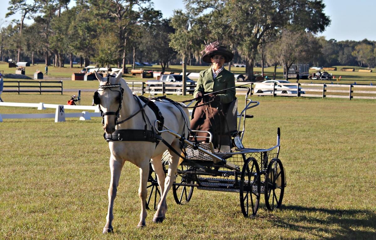 Photo of driver Christine Rochon of Ocala with her horse, Twist, pulling carriage.