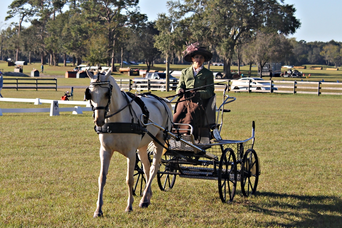Photo of driver Christine Rochon of Ocala with her horse, Twist, pulling carriage.