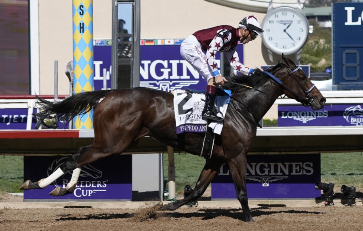 Brian Hernandez Jr. reacts as he rides Thorpedo Anna to victory in the Breeders' Cup Distaff horse race in Del Mar, Calif., Saturday, Nov. 2, 2024.