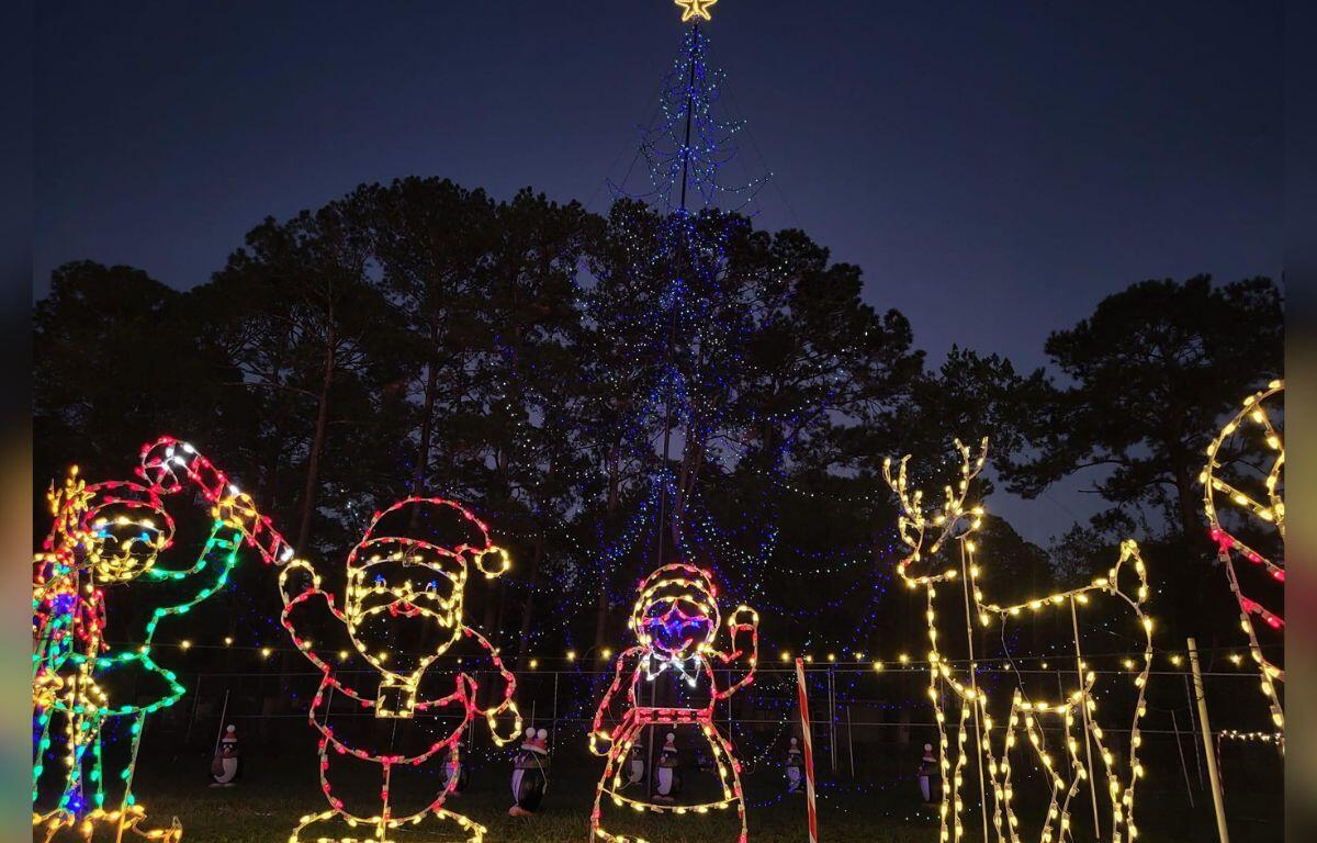 Photo shows christmas characters in front of christmas tree