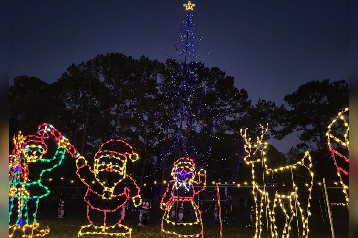 Photo shows christmas characters in front of christmas tree
