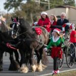 The team from Big Sexy Stables carried Grand Marshal former Ocala Mayor Kent Guinn and his wife Sandra during the annual Ocala Christmas Parade.