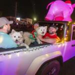 Storybook Farm had cute dogs during the annual Ocala Christmas Parade in Ocala, FL on Saturday, December 14, 2024. The parade featured 152 units which is the largest parade ever according to Sue Mosely of Friends of the Ocala Christmas Parade.