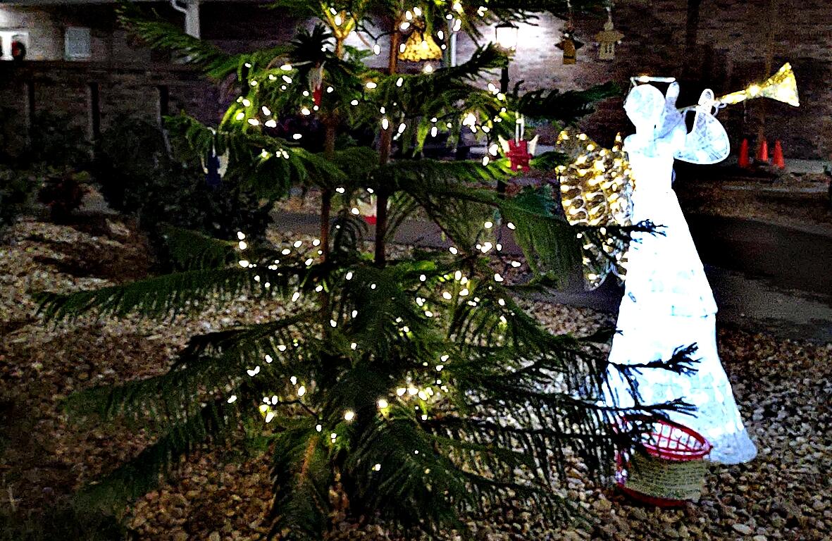 The Angel Tree, planted by The Dandelion Project and Morrison United Methodist Church, stands as a year-round memorial for grieving families to honor their loved ones with ornaments and personalized rocks.