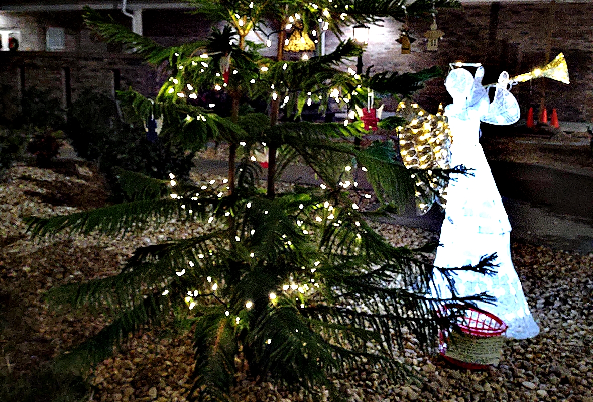 The Angel Tree, planted by The Dandelion Project and Morrison United Methodist Church, stands as a year-round memorial for grieving families to honor their loved ones with ornaments and personalized rocks.