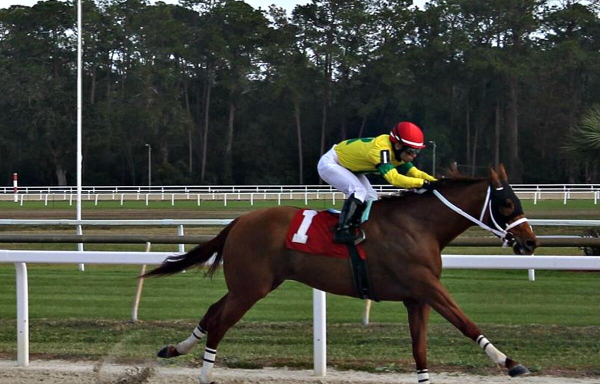 Big Martini with jockey Sonny Leon easily wins the FTBOA Marion County Stakes at Tampa Bay Downs in Oldsmar, FL on Dec. 14.