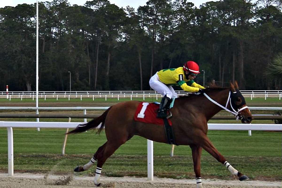 Big Martini with jockey Sonny Leon easily wins the FTBOA Marion County Stakes at Tampa Bay Downs in Oldsmar, FL on Dec. 14.