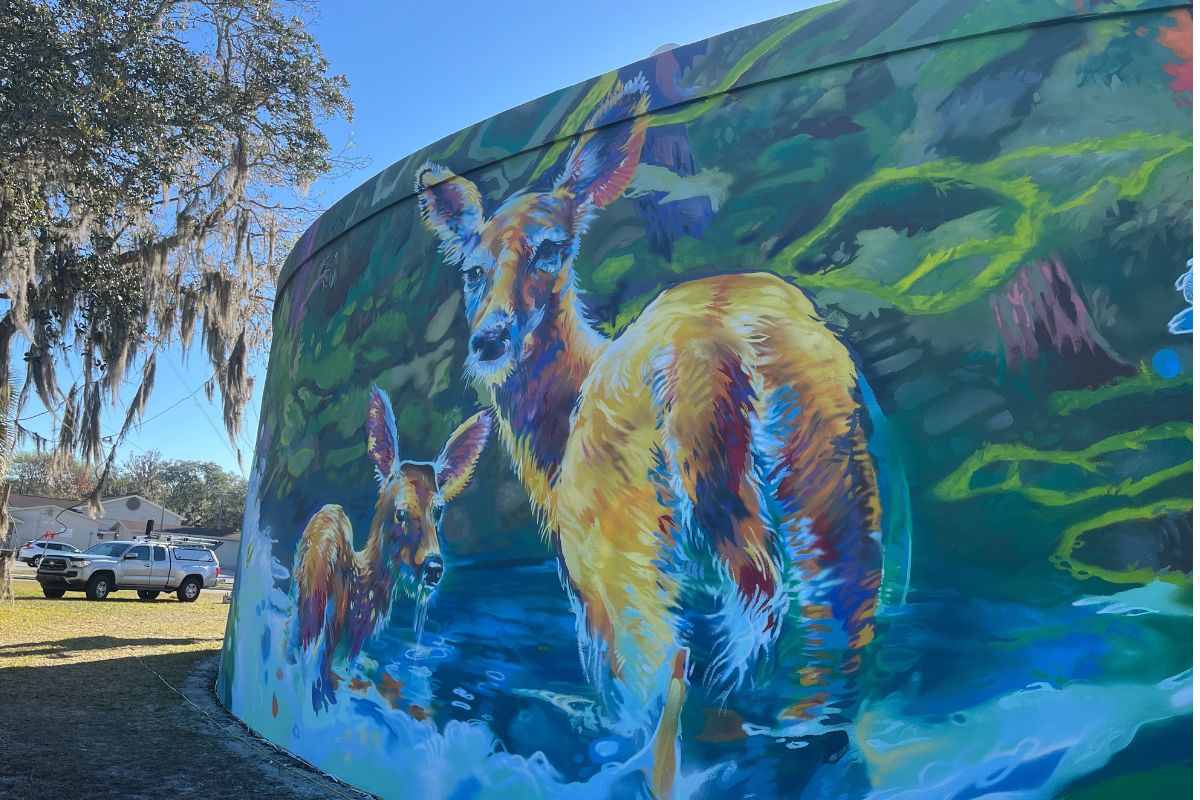 Christian Stanley's mural Marion Flow, painted on Ocala's downtown water storage tank, offers a distinctive visual experience that connects the community to the flora and fauna of the local landscape.