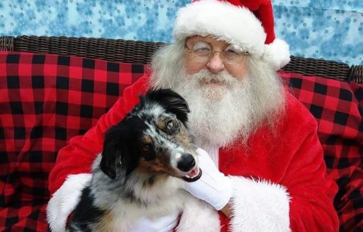 Have your pet's photo taken with Santa Paws - just like Huk!