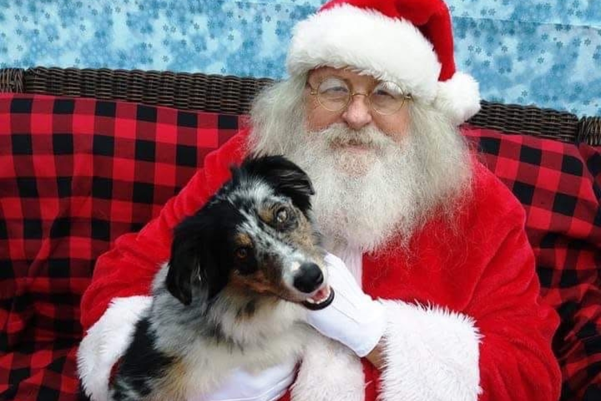 Have your pet's photo taken with Santa Paws - just like Huk!