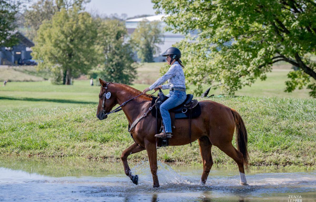 Laurine Fuller-Vargas on Instigated at the 2024 Retired Racehorse Project Makeover in Kentucky. The Florida Thoroughbred Transformation Expo, Dec. 12–15, will showcase transitioning Thoroughbreds at the Florida Horse Park.