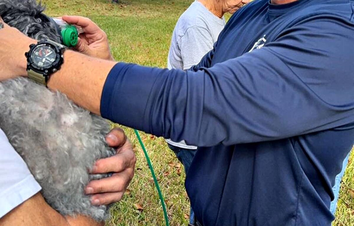Marion County Fire Rescue was dispatched to a house fire where they rescued a dog.