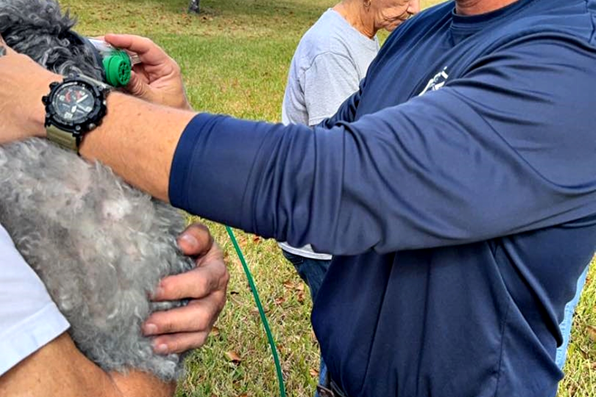 Marion County Fire Rescue was dispatched to a house fire where they rescued a dog.