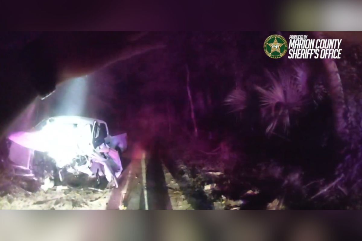 Photo shows a detailed view of the wreckage